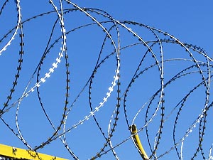 Правильно установленная Егоза