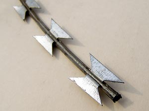Типичная китайская Егоза